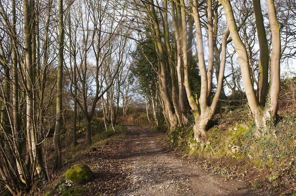 Pheasants Nye Vila Higher Burwardsley Exterior foto